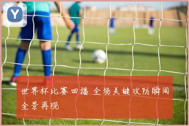 世界杯比赛回播 全场关键攻防瞬间全景再现